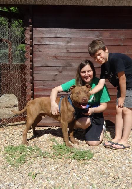 multimedia-foto38297-444-3