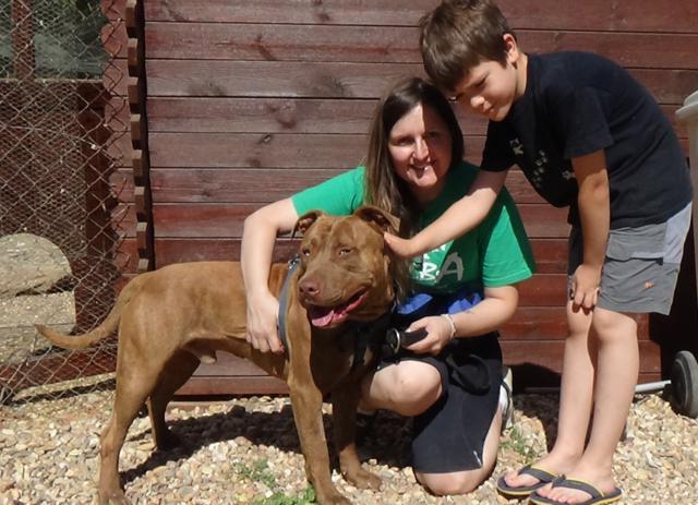 multimedia-foto38298-595-3