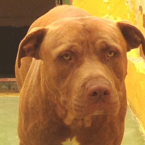 multimedia-foto38299-723-3