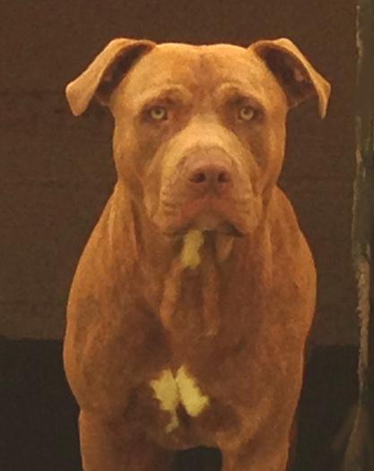 multimedia-foto38300-832-3