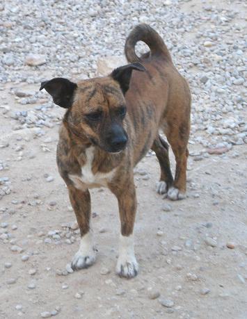 multimedia-foto38454-584-3