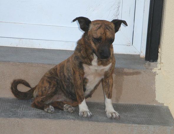 multimedia-foto38455-806-3