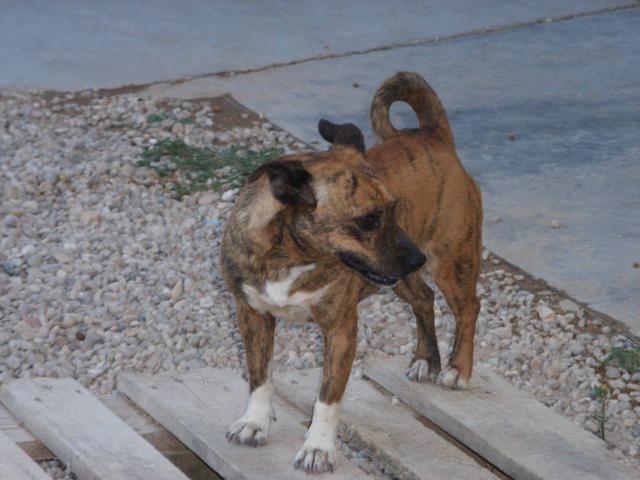 multimedia-foto38456-13-3