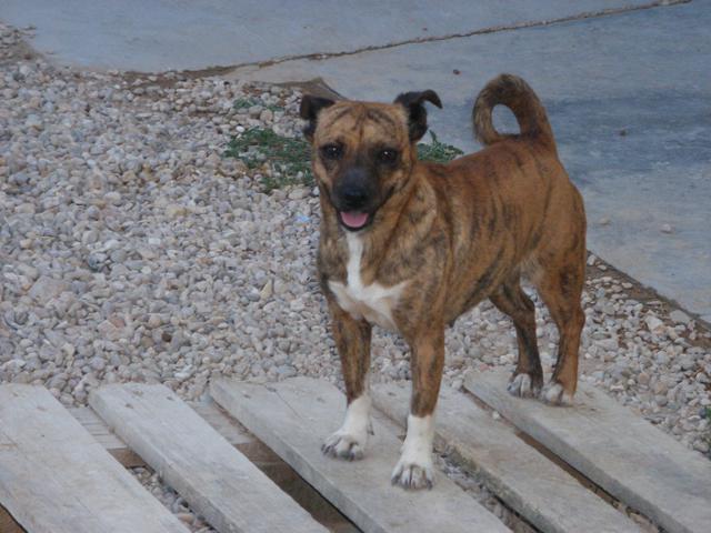 multimedia-foto38457-209-3