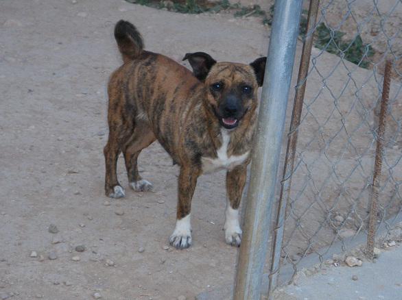 multimedia-foto38458-386-3