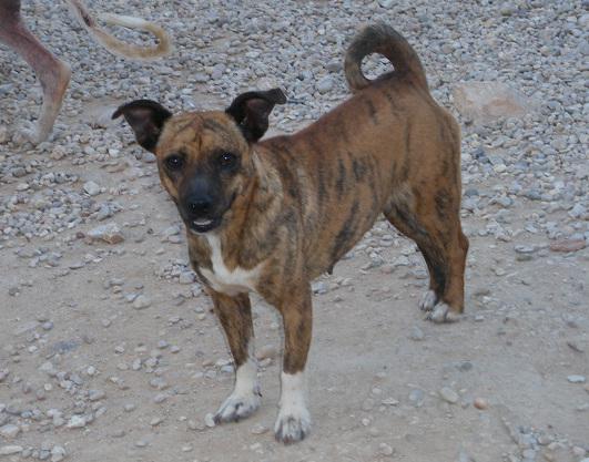 multimedia-foto38459-544-3