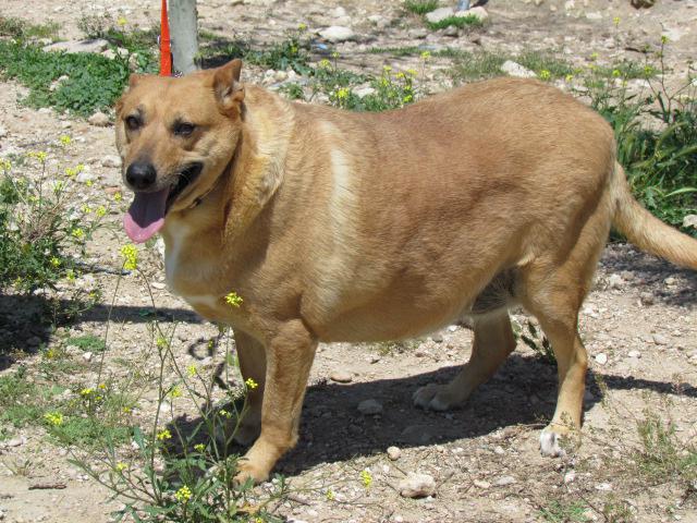 multimedia-foto38460-367-3