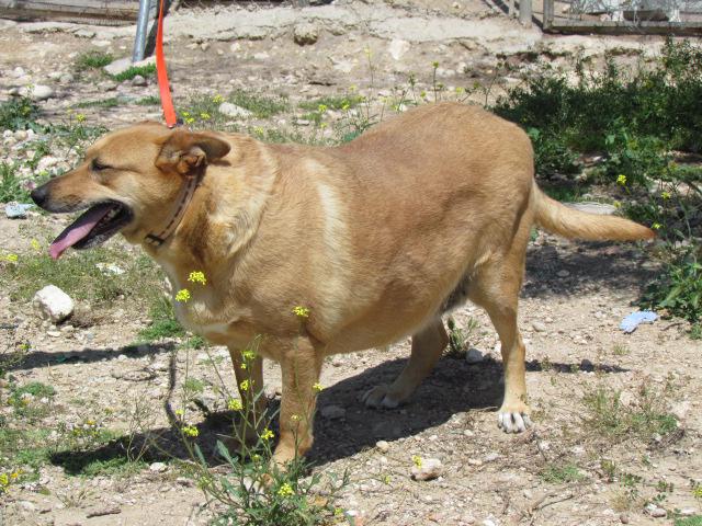 multimedia-foto38461-592-3