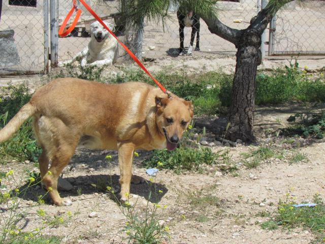 multimedia-foto38462-812-3