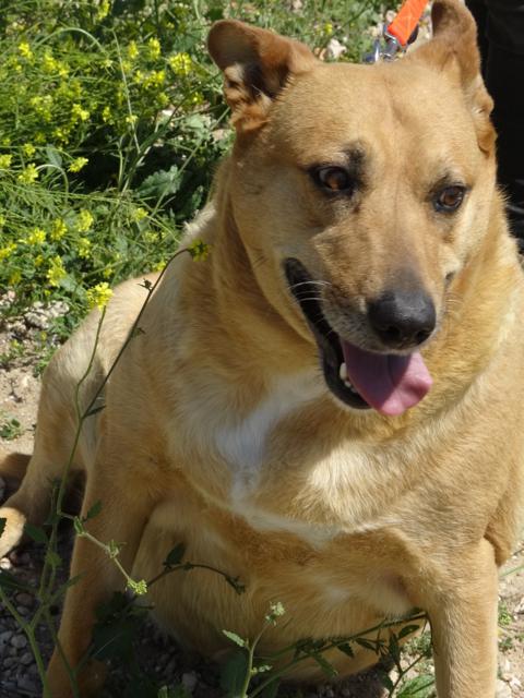 multimedia-foto38463-18-3