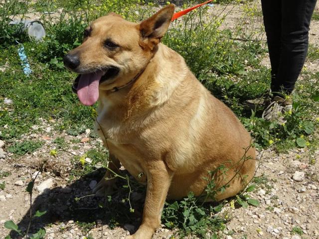 multimedia-foto38464-213-3