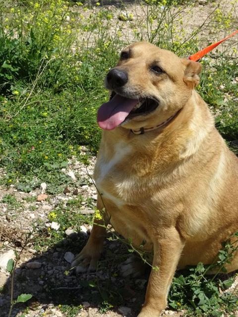 multimedia-foto38465-390-3