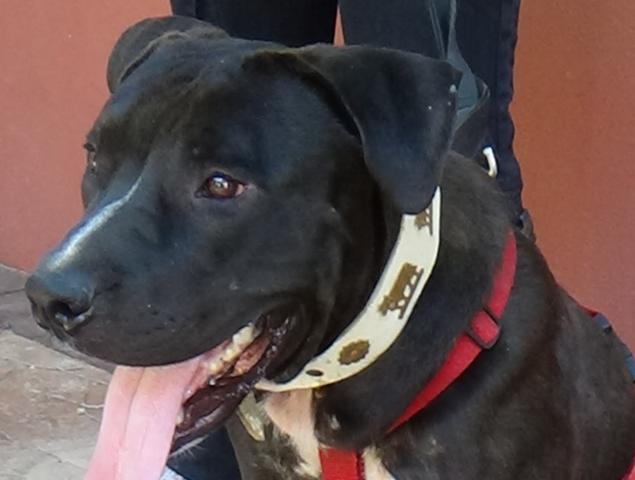 multimedia-foto38613-497-3