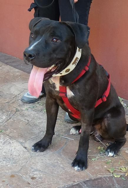 multimedia-foto38614-720-3