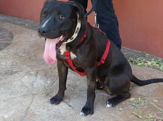 multimedia-foto38615-934-3