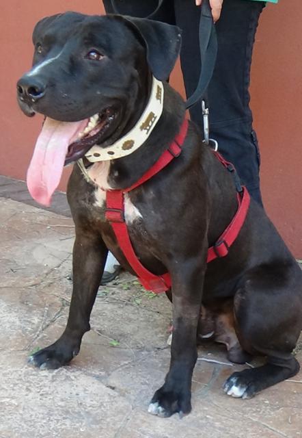 multimedia-foto38616-132-3