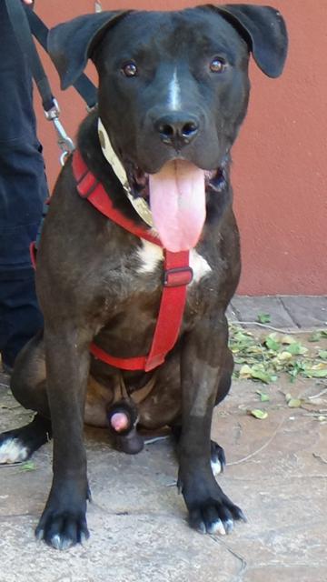 multimedia-foto38618-485-3