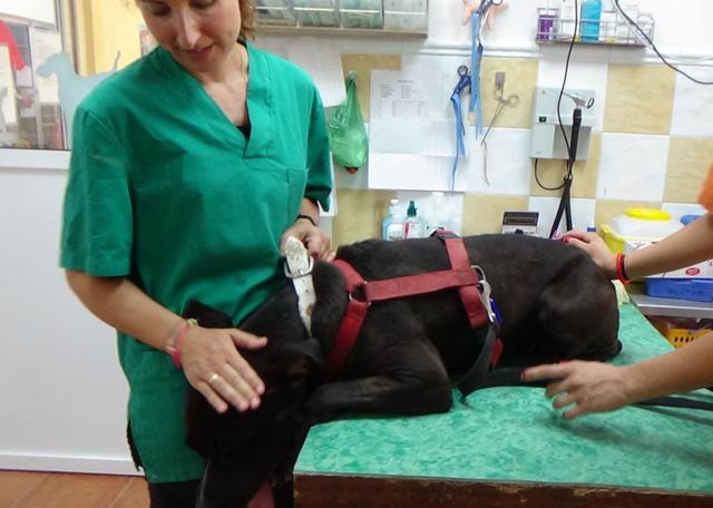 multimedia-foto38619-631-3