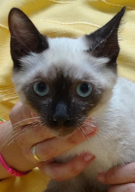 multimedia-foto38624-726-3