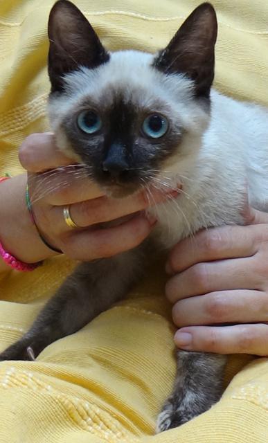 multimedia-foto38625-939-3