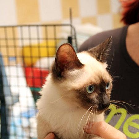 multimedia-foto38627-322-3