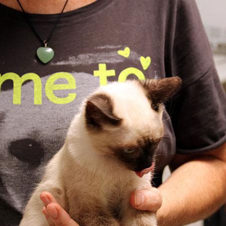 multimedia-foto38628-490-3