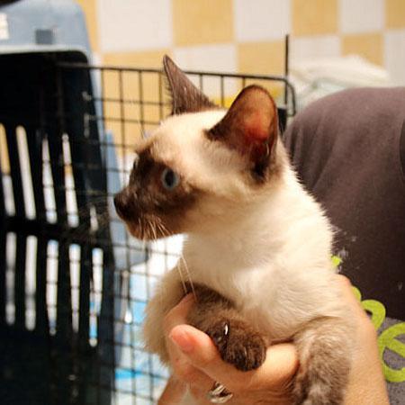 multimedia-foto38629-636-3