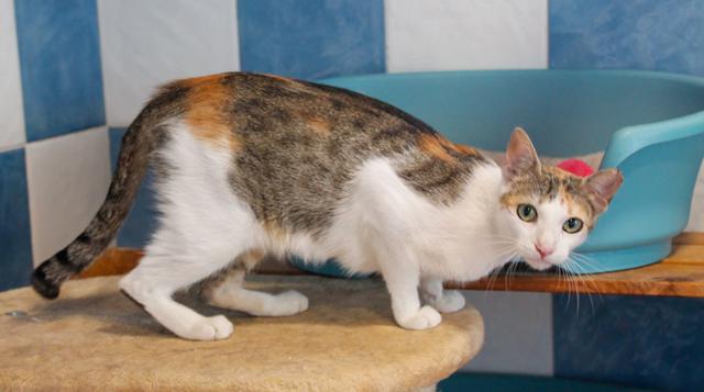 multimedia-foto38653-533-3