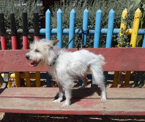 multimedia-foto38661-539-3