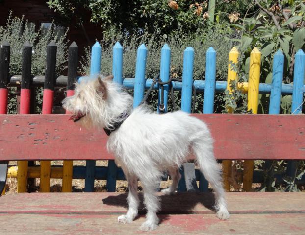 multimedia-foto38662-760-3