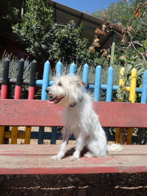 multimedia-foto38664-171-3