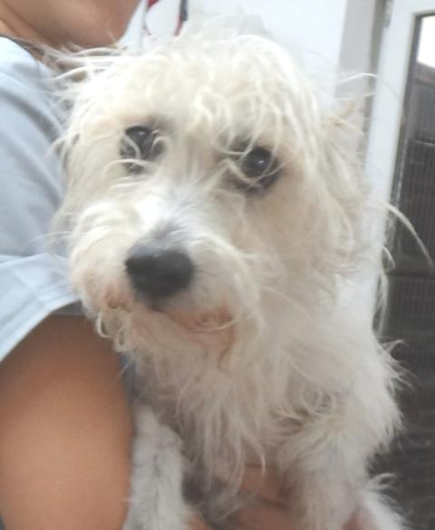 multimedia-foto38665-351-3