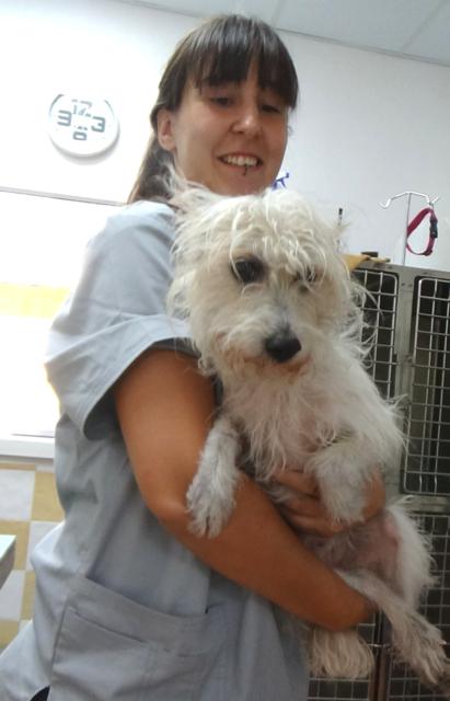 multimedia-foto38666-515-3