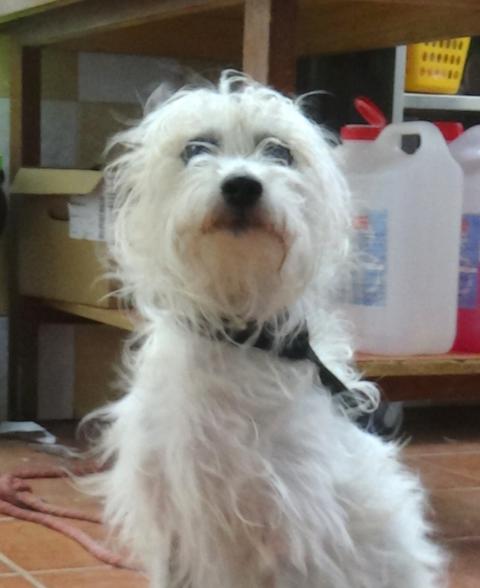 multimedia-foto38667-656-3