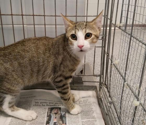 multimedia-foto38673-326-3