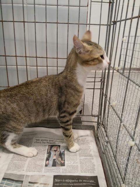 multimedia-foto38674-552-3