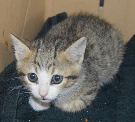 multimedia-foto38675-773-3