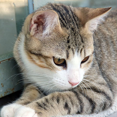 multimedia-foto38677-183-3