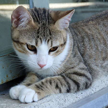 multimedia-foto38678-362-3