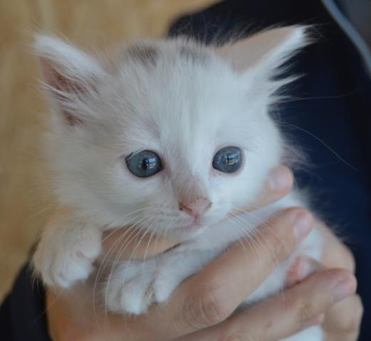 multimedia-foto38695-346-3