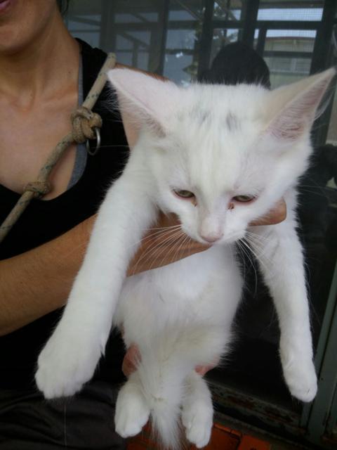 multimedia-foto38697-795-3