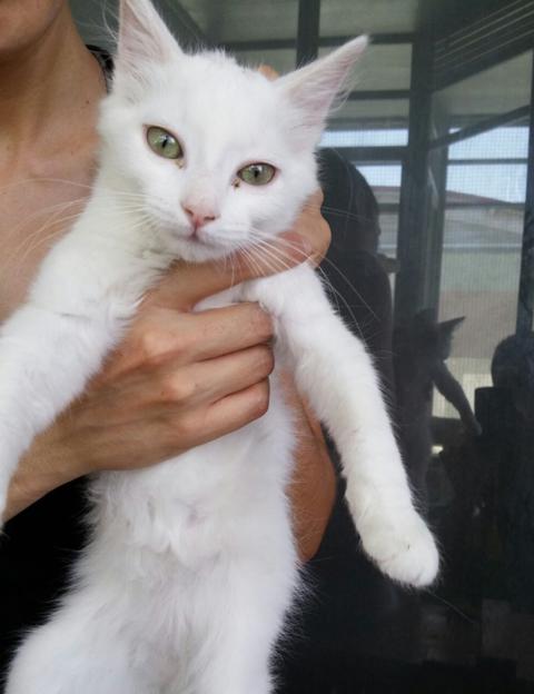 multimedia-foto38698-3-3