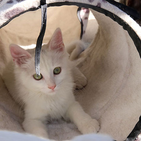 multimedia-foto38702-673-3