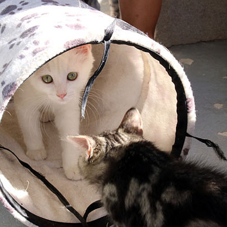 multimedia-foto38703-790-3