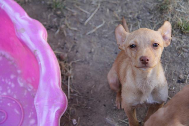 multimedia-foto38704-353-3