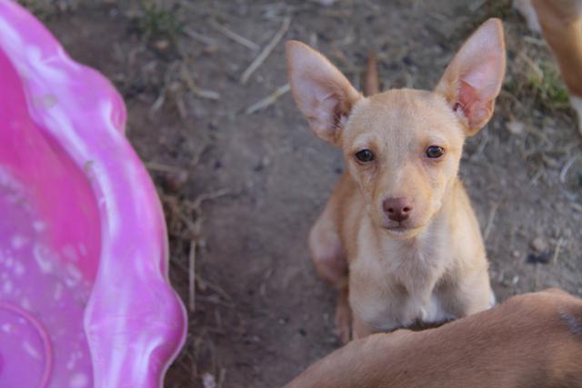 multimedia-foto38705-579-3