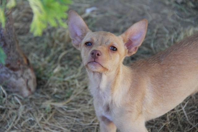 multimedia-foto38706-802-3