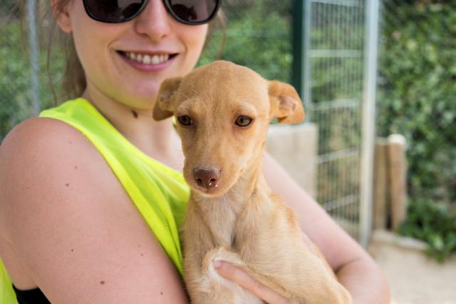 multimedia-foto38707-10-3