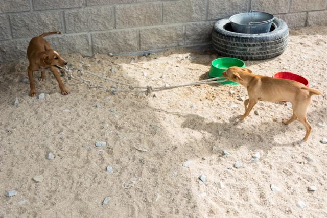 multimedia-foto38708-205-3