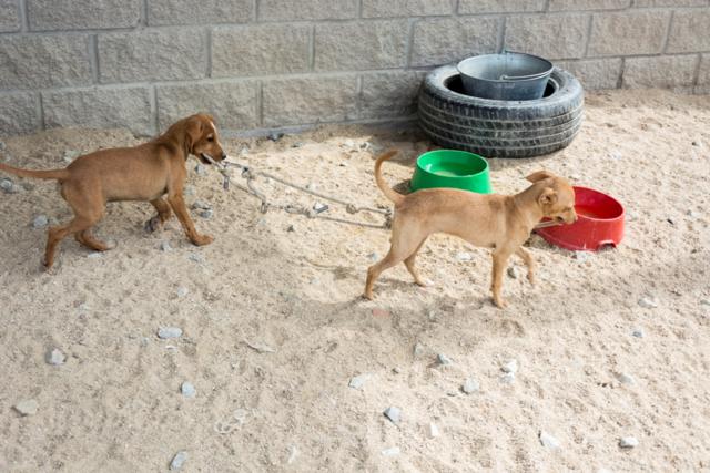 multimedia-foto38709-382-3